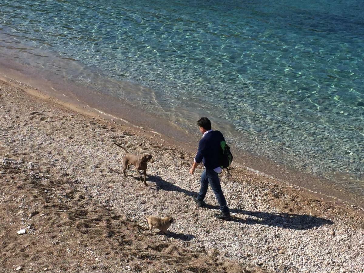 Ca Na Jb Leilighet Puerto de Sóller Eksteriør bilde